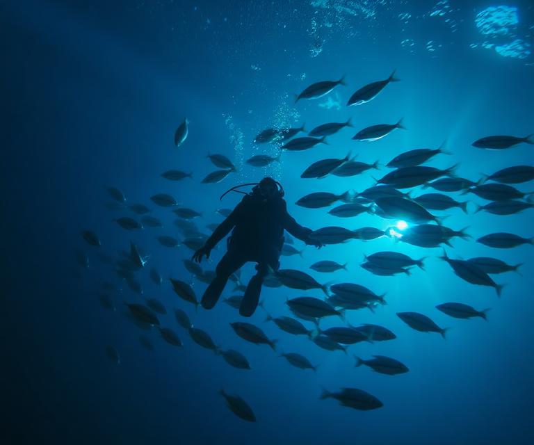Beneath the surface